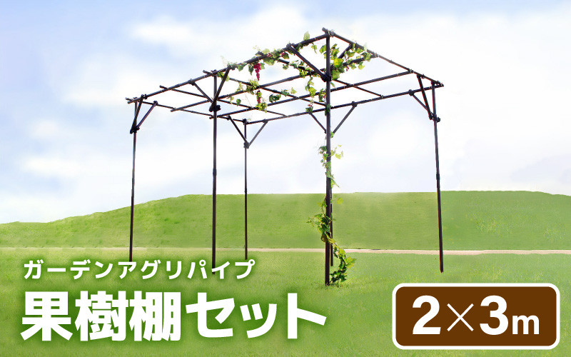 
            daim ガーデンアグリ果樹棚セット 幅3m×奥行2m×高さ2m 【藤棚 パーゴラ ガーデンアーチ ふじ棚 果樹棚 セット 果物棚 DIY キット 第一ビニール 雨よけ 雨除け 屋根 果樹 用 支柱 資材 栽培 ぶどう棚 葡萄棚】 [K-18401]
          