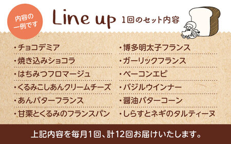 【12回定期便】 ハード系パン お楽しみバラエティーセット 13～16点 【パンの店 カッタン】 パン 食パン 大人気[MEJ016]