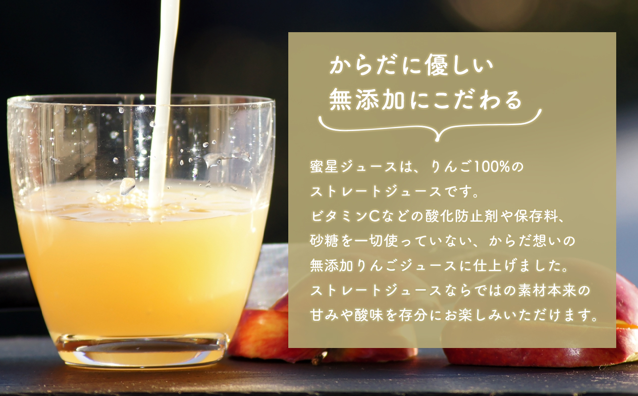 田中農園 100年の歴史 蜜星ジュース 1L×3本【青森りんご・りんごジュース】