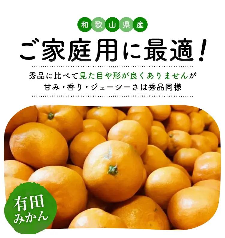 【11月発送】有田育ちの完熟有田みかん 家庭用 サイズ混合(2S～2L)　約5.2kg(5kg+200g)【ard186D-11】