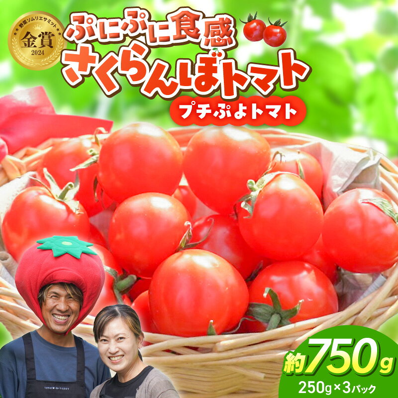 【ふるさと納税】【2027年発送】 衝撃の一粒 奇跡のさくらんぼ ミニトマト 250g × 3 パック 約 750g 野菜 ソムリエサミット 金賞 受賞 希少 トマト 旬 ぷちぷよ 薄皮 甘い デリケート ツヤツヤ もっちり 食べ物 野菜 冷蔵 長田農園 お取り寄せ 愛知県 碧南市 送料無料