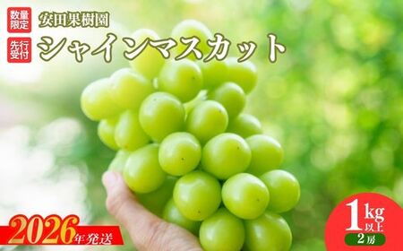 No.2609ぶどう　シャインマスカット1kg以上【2026年発送】
