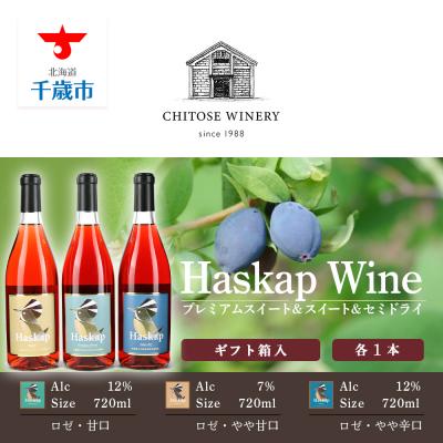 ふるさと納税 千歳市 千歳ワイナリー ハスカップのワイン3種720ml×各1本＜ギフト箱入＞