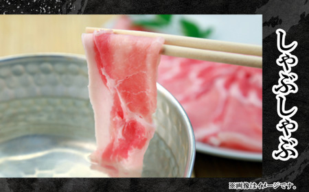 豚肉 バラ スライス 4kg ( 250g × 16 ) 国産 豚肉