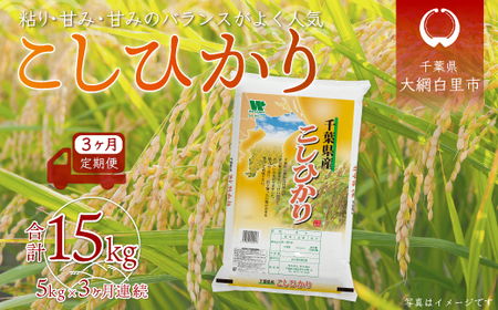 ＜3ヶ月定期便＞千葉県産「コシヒカリ」5kg×3ヶ月連続 計15kg A025