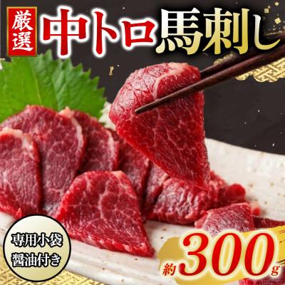 ふるさと納税 阿蘇市 【熊本と畜】中トロ馬刺し 300g(阿蘇市)