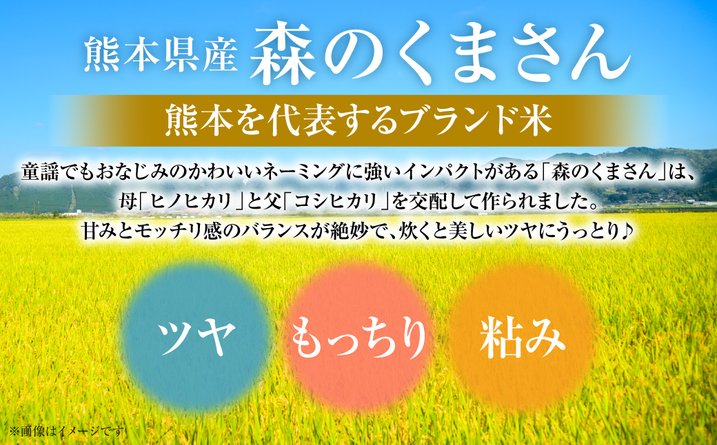 【令和7年産】 《新米》 熊本県産 森のくまさん 10kg (5kg×2袋) オリジナルパッケージ 新米 米 お米 精米 白米 ごはん ご飯 熊本