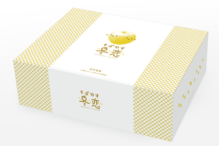 ★サビあり★ りんご はるか 「そばかす冬恋」(自家用「冬恋 はるか」 サビ有) 約2.5kg 糖度15度以上【先行予約 12月発送予定】 数量限定 岩手県産 りんご リンゴ 林檎 冬恋 はるか フル