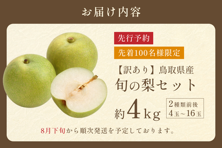 先行予約 訳あり 鳥取県産旬の梨セット 4kg｜鳥取 果物 フルーツ なし 梨【41044】