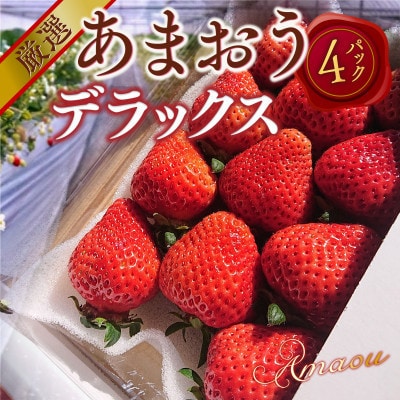 【2027年2月より順次発送】あまおうデラックス(約250-270g×4パック) (宇美町)【配送不可地域：離島】