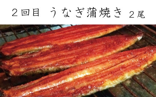 【3回定期便】おさかな定期便 サバ ウナギ サケ【tkb131】