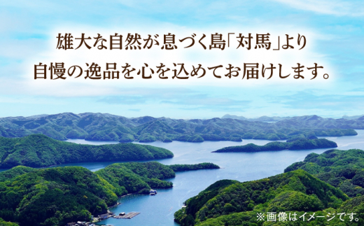 対馬 蒸し貝 缶セット 計約2kg《対馬市》【海風商事】国産 九州 長崎 海鮮 [WAD007]冷蔵 対馬 サザエ さざえ 栄螺 ヒオウギ貝 ひおうぎ貝 牡蠣 カキ かき 海鮮 BBQ バーベキュー 