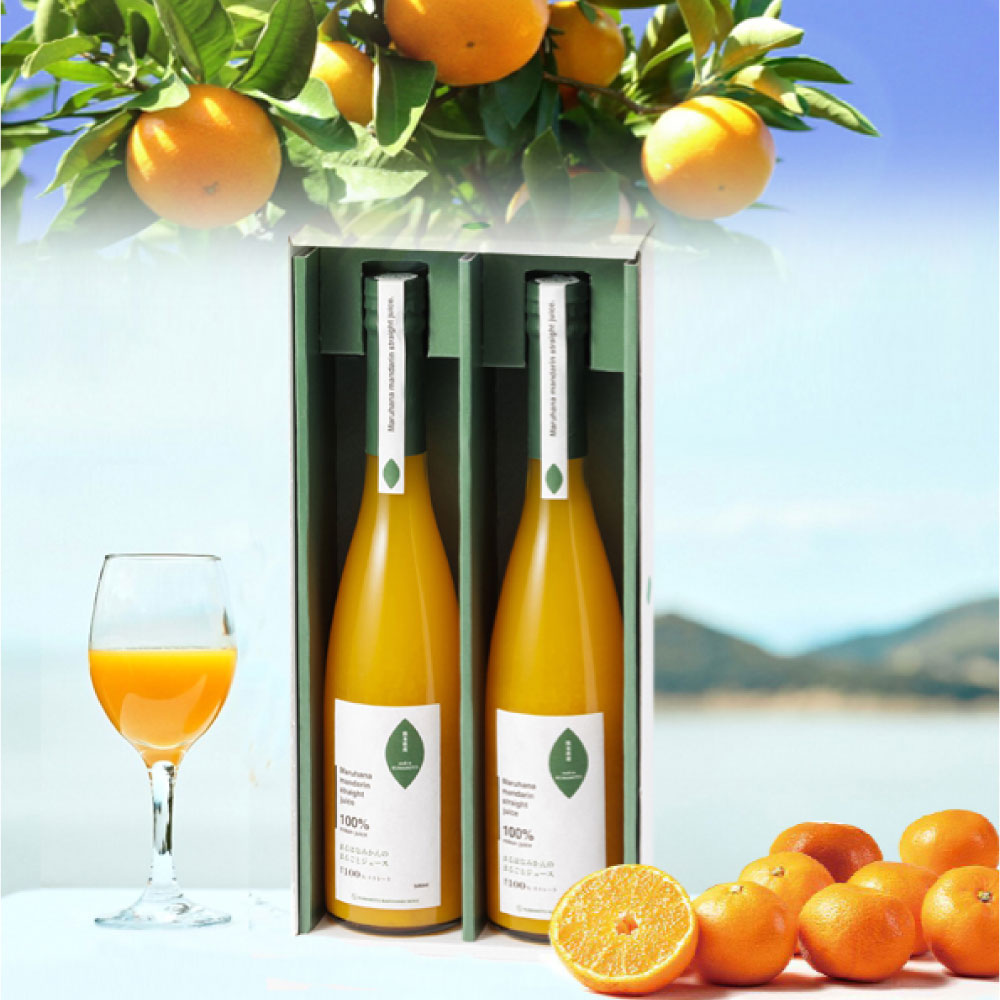 【ふるさと納税】まるはなみかんのまるごとジュース 500ml×2本 みかん 100％ ストレートジュース ( 香料・着色料・保存料不使用 ) 果汁 温州みかん 蜜柑 柑橘 飲料 果実飲料 ドリンク 飲み物 お取り寄せ 国産 熊本県 熊本市