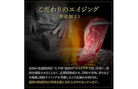 天下味 エイジング工法 熟成肉 土佐和牛 特選赤身ブロック 500g エイジングビーフ 赤身 牛 ブロック 国産 肉 牛肉 和牛 人気 老舗焼肉店 冷凍 新鮮 真空パック 高級 お祝い 高知 高知県 