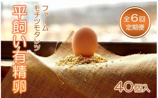 【6回定期便】ファームモチツモタレツの平飼い有精卵（40個入） 【 卵 たまご タマゴ 玉子 卵焼き オムレツ 卵かけご飯 ゆで卵 鶏卵 卵黄 生卵 平飼い 長沼町 北海道 】