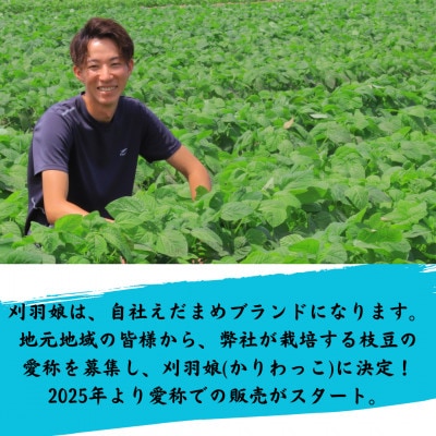 新潟県刈羽村　朝採直送枝豆　刈羽娘1kg(500g×2パック)【配送不可地域：離島・北海道・沖縄県】