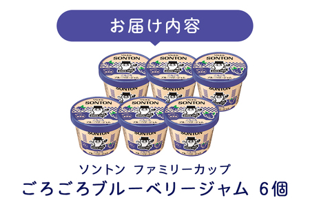 ソントン ファミリーカップ ごろごろブルーベリージャム 130g×6個入 G13-007