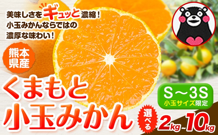  訳あり みかん 小玉みかん くまもと小玉みかん 2kg 5kg 10kg 秋 旬 不揃い 傷 ご家庭用 SDGs 小玉 たっぷり 熊本県 産 S-3Sサイズ フルーツ 旬 柑橘 熊本県産 温州みかん《9月下旬-12月下旬頃出荷》 ---gkt_lcl_772_2kg_a---