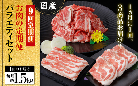 【9回定期便】お肉の定期便 バラエティセット 総計約13.5kg / 豚肉 豚肉 豚肉 豚肉 豚肉 [ATAP117]