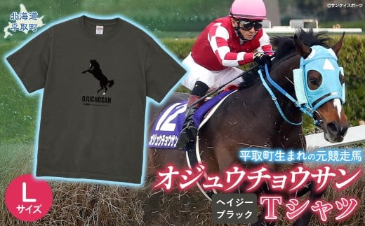 【オジュウチョウサン】Ｔシャツ _Lサイズ（ヘイジーブラック） 【ふるさと納税 人気 おすすめ ランキング 馬 競馬 競走馬 オジュウチョウサン 北海道 平取町 送料無料】 BRTV004-3