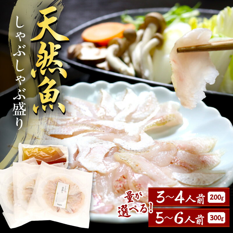 【ふるさと納税】天然魚しゃぶしゃぶ盛り【3〜4人前 5〜6人前】 選べる 内容量 天然魚しゃぶしゃぶ盛り 産地直送 旬 おまかせ鮮魚 魚介類 魚 天然魚 しゃぶしゃぶ 鍋 刺身 産地直送 旬 小分け セット ギフト 贈り物 旬 海鮮丼 カルパッチョ