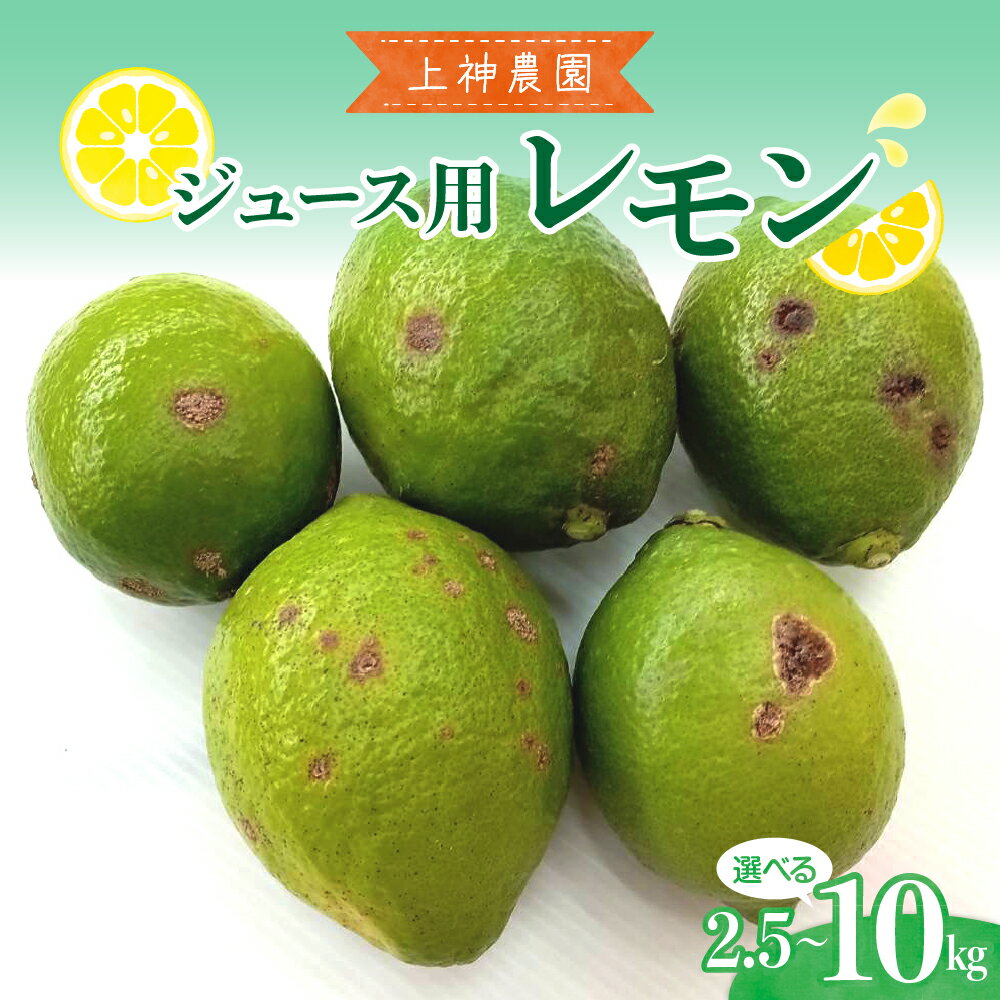【ふるさと納税】先行予約 ジュース用 レモン 約2.5kg / 約10kg【2025年11月～発送】レモン 檸檬 柑橘 果物 フルーツ レモネード お取り寄せグルメ 栽培期間中低農薬 防腐剤不使用 ワックス不使用 ジューシー 果汁 レモン汁 爽やか レモン飲料 産地直送 先行受付 広島県 呉市
