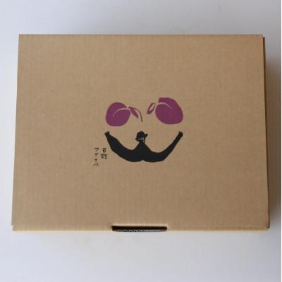 ふるさと納税 南陽市 【令和8年産先行受付】山形県産プラム『秋姫』1.2kg〜1.3kg(8〜12玉) 【S685】 |  | 02