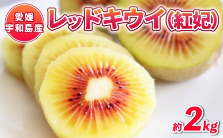 レッドキウイ (紅妃) 2kg 先行予約 果物 Shirai.agrifarm レッドキウイ F012-115001
