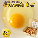 【ふるさと納税】枝さんち の たまご (M〜L 20～40個) 産地直送 たまご 玉子 生卵 鶏卵 タマゴ 平飼い 桜川市産 茨城県産