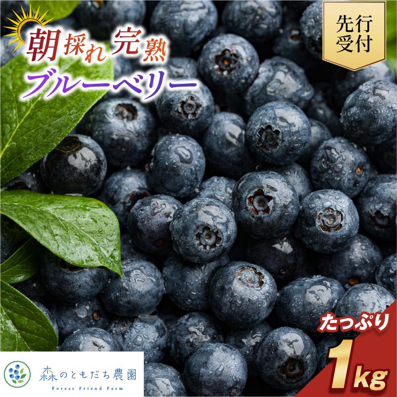【ふるさと納税】《レビューCP実施中！》【先行予約】今治産ブルーベリー「媛ベリー」1kg 2026年7月下旬～8月下旬発送予定【LC00880】国産 オーガニック 甘い 生食 スムージー ジュース 旬 季節 【配送不可地域：離島】