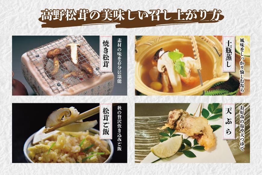 ［2026年発送分］香り・歯応え・味ともに最高級！希少な国産松茸「高野松茸」200g［化粧箱入］［MG92］