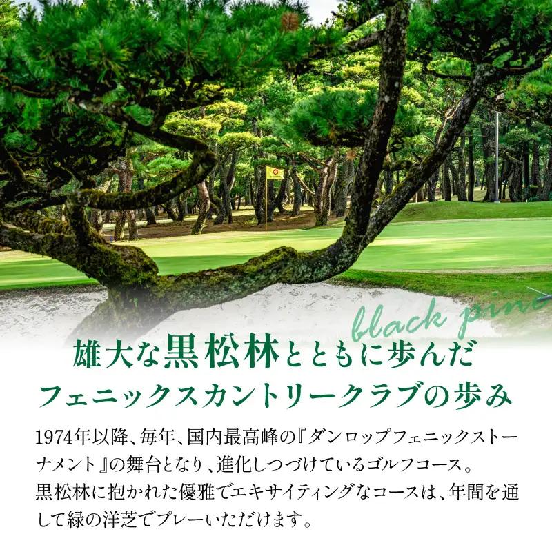 《2026年11月発券》フェニックスカントリークラブプレー券(平日4名様または土日祝2名様) ゴルフ 土日 プレー券