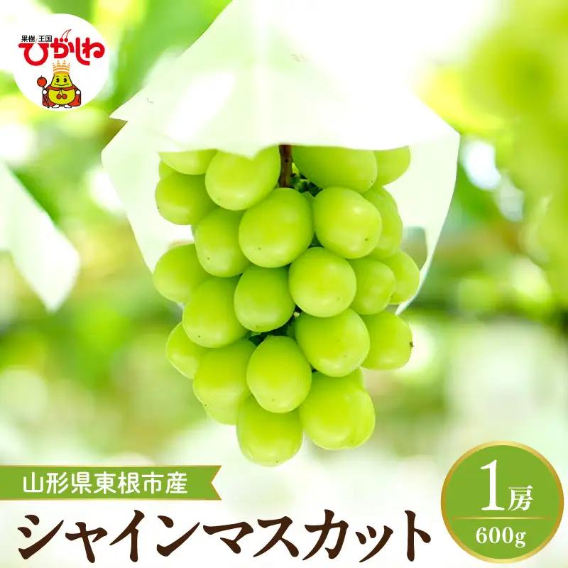 【2026年産】シャインマスカット約600g (1房入)  ぶどう