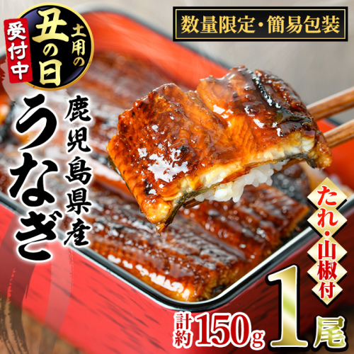 【0074325a-2607】＜土用丑の日までにお届け＞＜数量限定・宅配袋発送＞東串良町のうなぎ蒲焼(無頭)(1尾・約150g・タレ、山椒付) うなぎ 高級 ウナギ 鰻 国産 蒲焼 蒲焼き たれ 鹿児島 ふるさと お試し 【アクアおおすみ】