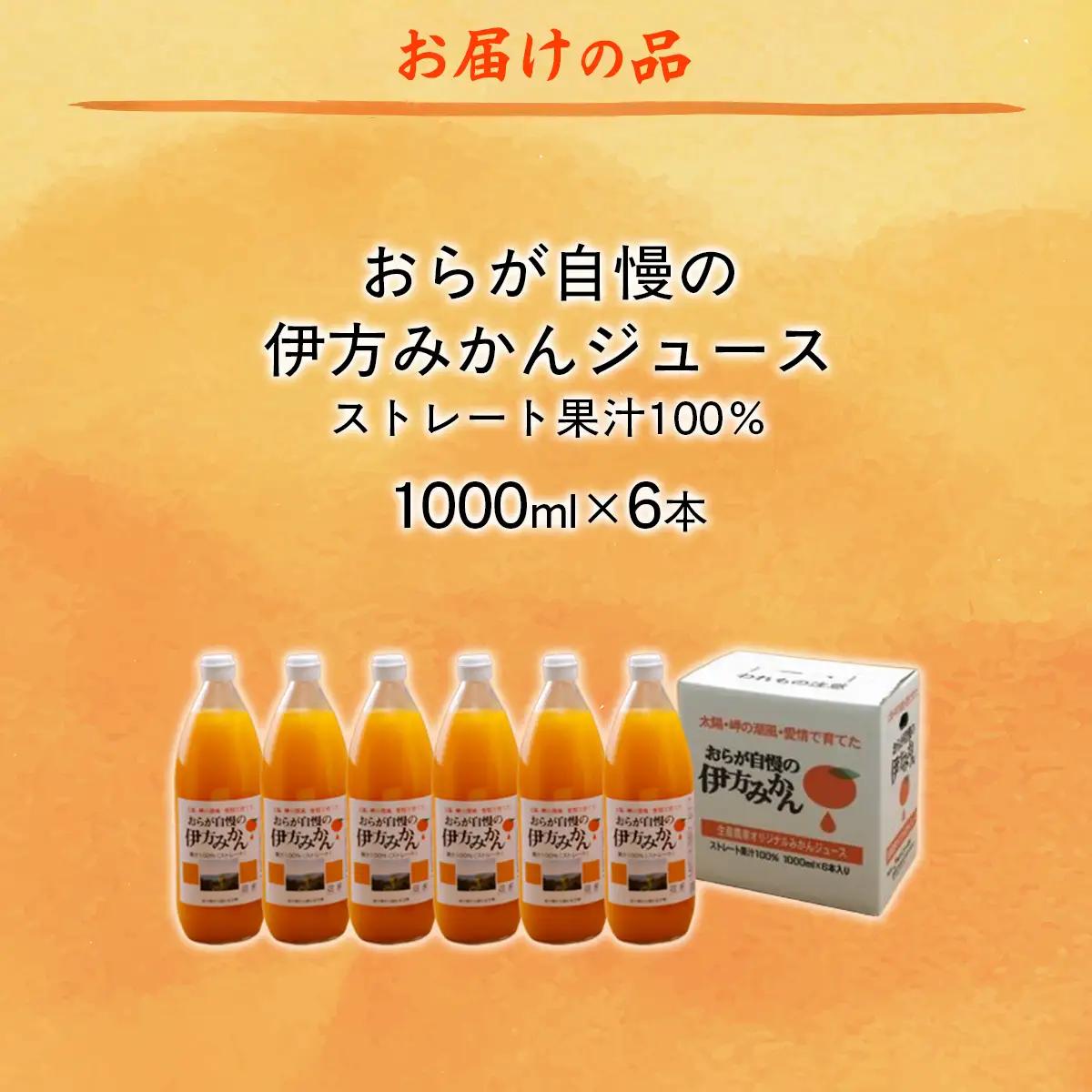 【愛媛県産】おらが自慢の伊方みかんジュース（1000ml×6本）ストレート果汁100％ 【ふるさと納税 人気 おすすめ ランキング みかん ミカン 蜜柑 ジュース みかんジュース ミカンジュース クリ