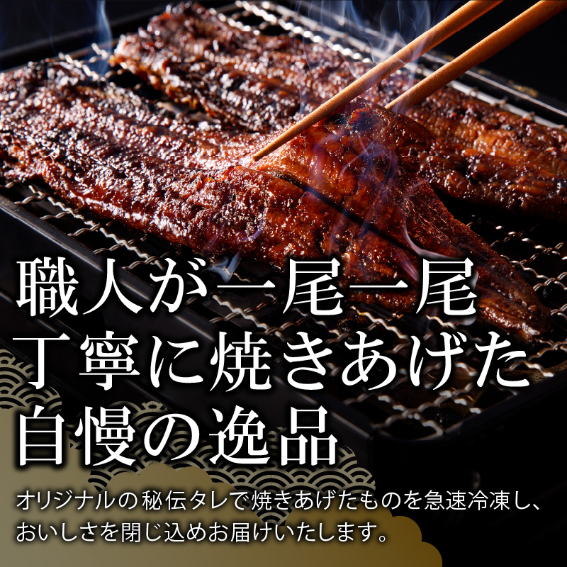 老舗のうなぎ　【特選上長焼】２尾セット（秘伝のタレ・山椒付）