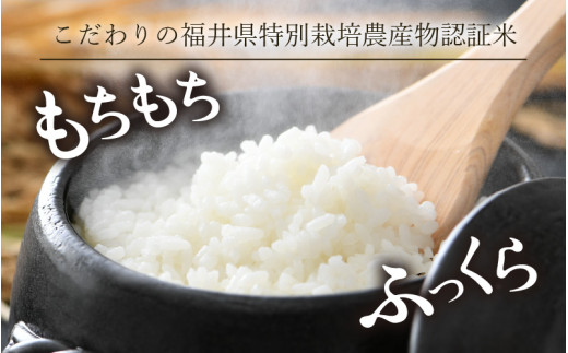 【先行予約】【令和8年産 新米】 ミルキークイーン 精米 5kg 特別栽培米 農薬不使用 化学肥料不使用 ／ 高品質 鮮度抜群 福井県産 ブランド米 ※2026年10月上旬以降順次発送 [aw063-