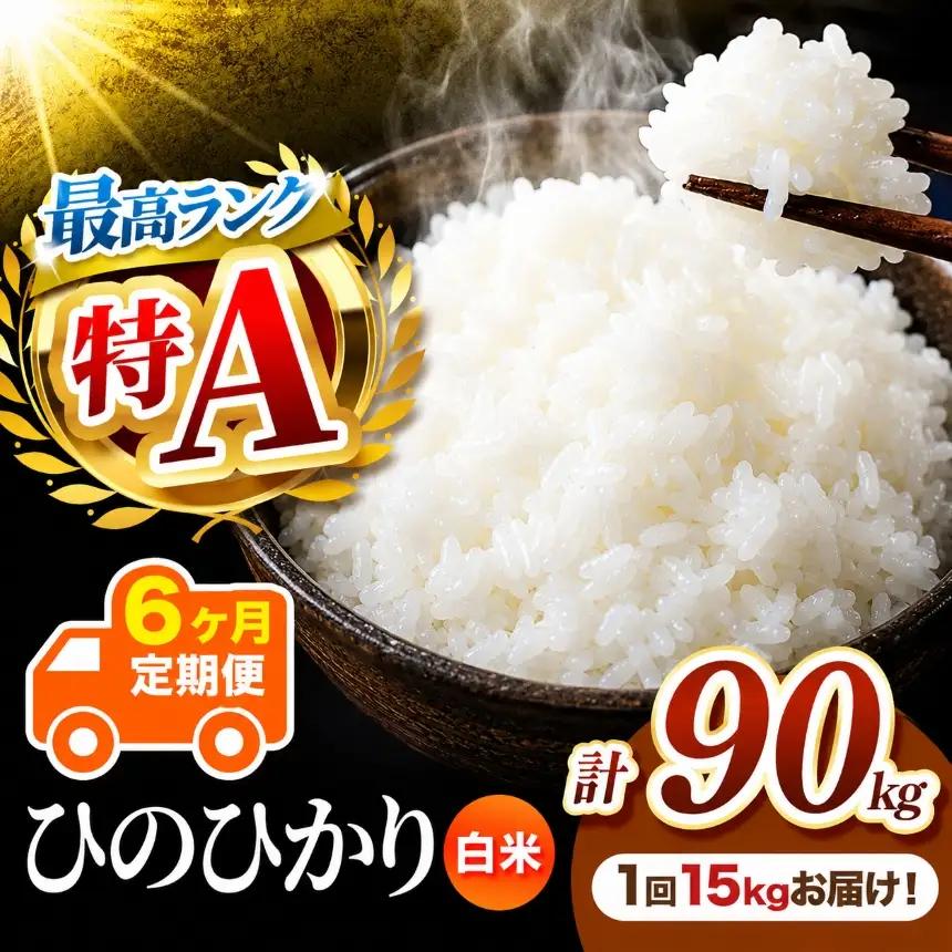 【 定期便 6回 】 R7年産 熊本県産 白米 ひのひかり 15kg