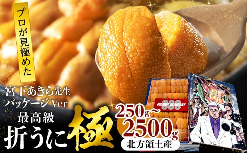 
                  【内容量が選べる】≪プロ厳選≫最高級折うに(極)宮下あきら先生パッケージVer(250g～2500g) うに ウニ 雲丹 折うに 海鮮 海産物 北海道 浜中町 ふるさと納税 人気_H0014-012-SKU
                