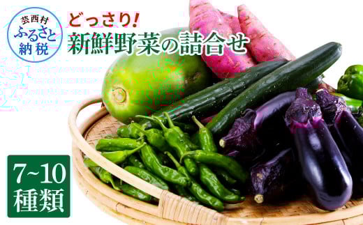 どっさり！新鮮野菜の詰合せ 7～10種類 ピーマン 茄子 なす ナス おまかせ 特産品 野菜 やさい 野菜セット おかず 健康 新鮮 詰め合わせ お楽しみ お取り寄せ 通販