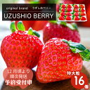 【ふるさと納税】【 予約受付中・2024年12月頃より順次発送 】 フルーツガーデンやまがたのいちご「うずしおベリー」約750g 特大粒 16個 苺 いちご イチゴ 紅ほっぺ 果物 フルーツ 送料無料 徳島 鳴門 農家直送 ギフト 甘い 旬 数量限定