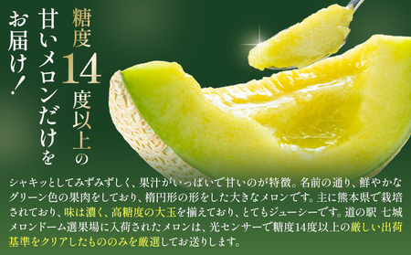 肥後グリーン メロン 2玉 約3.2kg 七城町特産品センター熊本県 菊池市 メロン 果物 フルーツ 九州産 熊本県産 めろん グリーンメロン