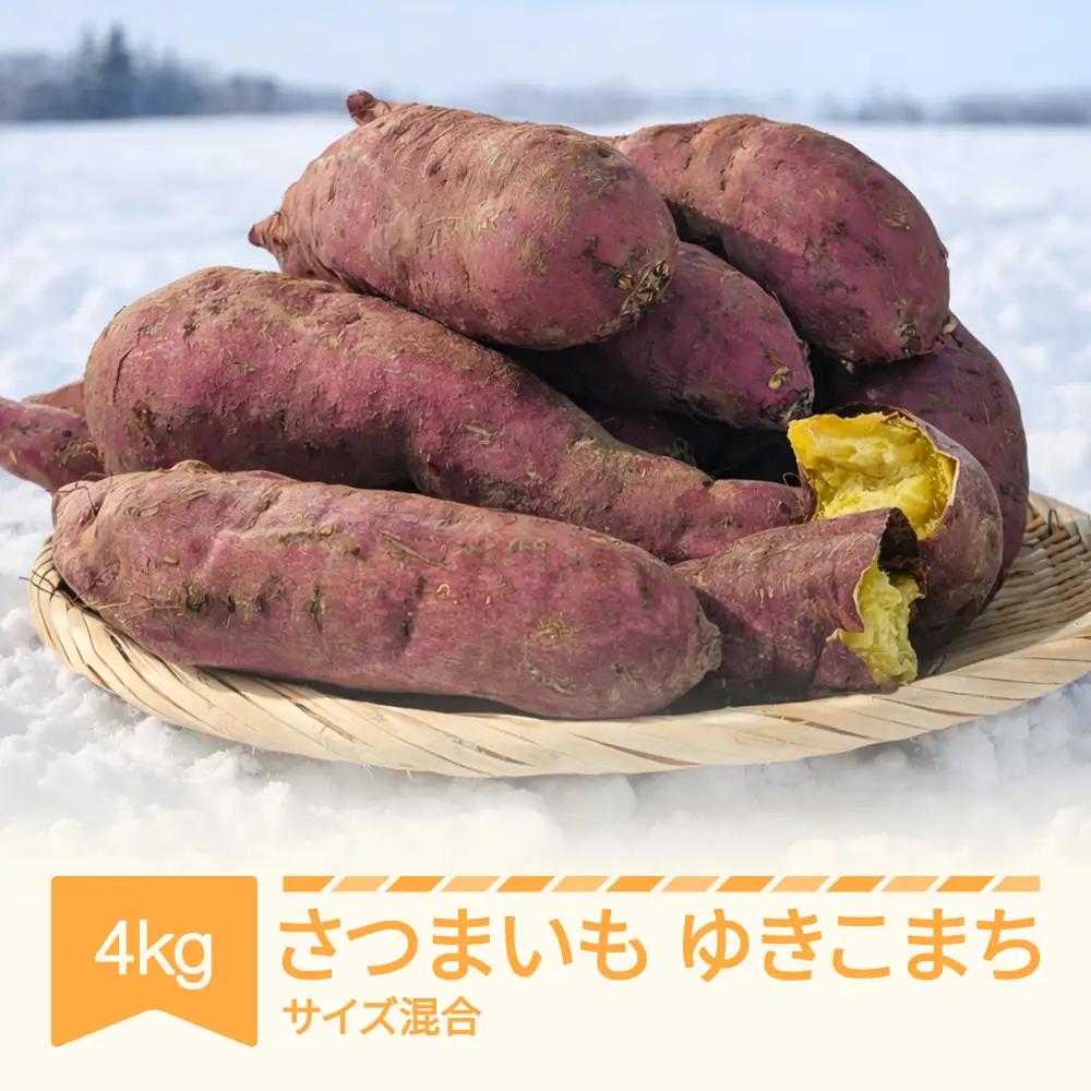 先行予約 さつまいも ゆきこまち 約4kg 令和8年 no-spykx4