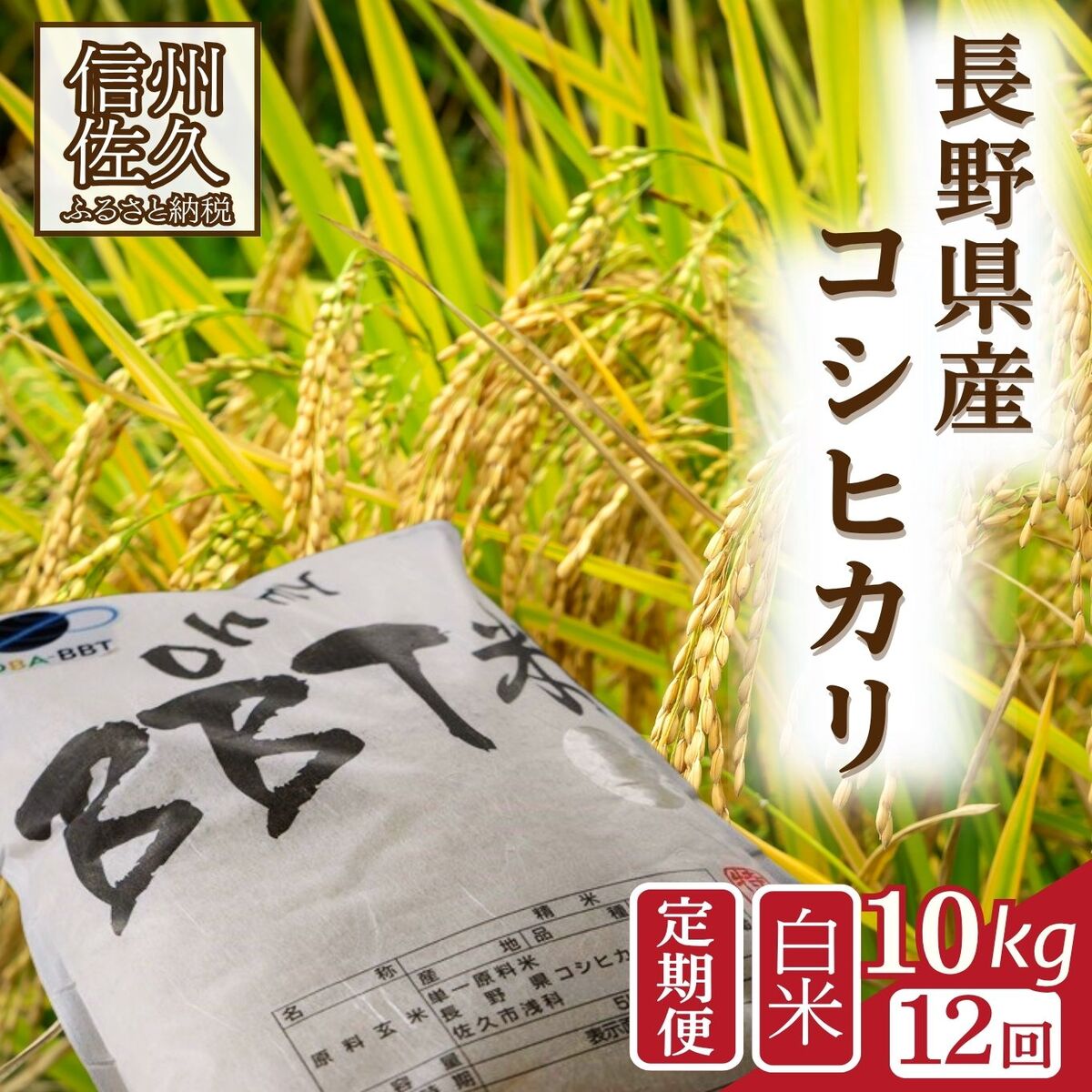 【ふるさと納税】【令和7年産・白米10kg×12カ月定期便】特別栽培米 BBT米（五郎兵衛米）〈2025年9月中旬頃～順次発送〉先行予約 新米 信州 こしひかり【 米 コメ 白米 精米 お米 こめ おこめ 備蓄品 コシヒカリ 長野県 佐久市 】