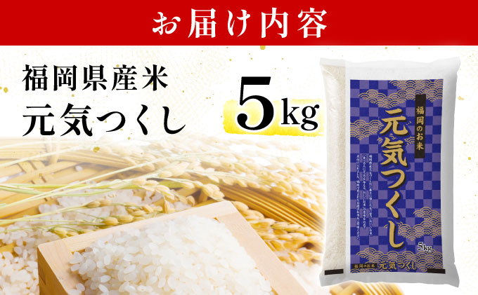 【最短7営業日以内発送】令和7年産 福岡県産米 元気つくし 5kg 精米 ※北海道・沖縄・離島は配送不可 CY011