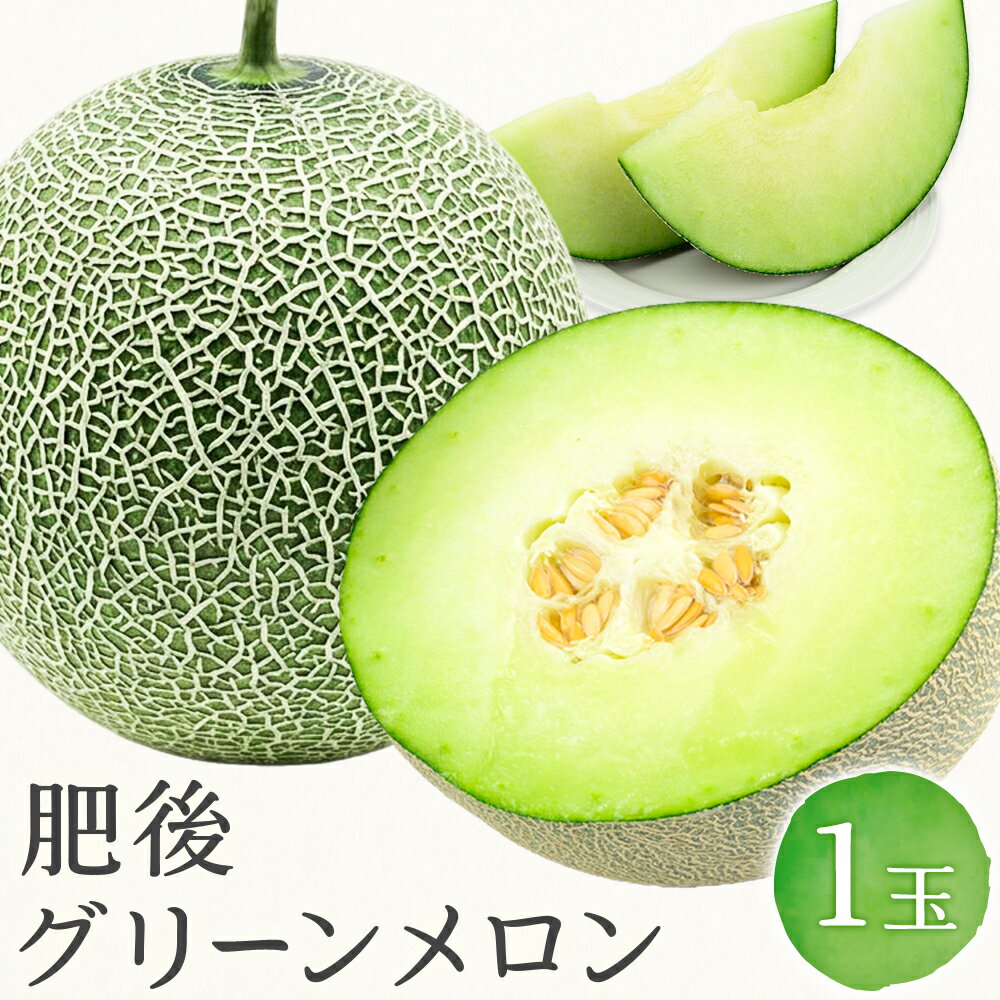 【ふるさと納税】【先行予約】肥後グリーンメロン 1玉 熊本 株式会社エフビーネット 《4月上旬-6月中旬頃出荷》熊本県 氷川町 果物 フルーツ 熊本県産 メロン 肥後グリーン めろん