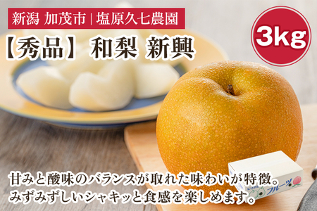 【2025年先行予約】新潟県産 和梨 新興 3kg 【秀品】《10月下旬から順次出荷》 しんこう なし 果物 フルーツ デザート ジューシー シャキシャキ 加茂市 塩原久七農園