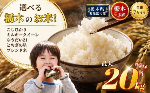 
                  選べる 品種 米 お米 こしひかり ミルキークイーン ゆうだい21 とちぎの星 ブレンド米 5kg 10kg 20kg | 精米 白米 特A 人気 訳あり 備蓄 米 栃木県共通返礼品 2025年産 栃木県産 栃木県 下野市
                