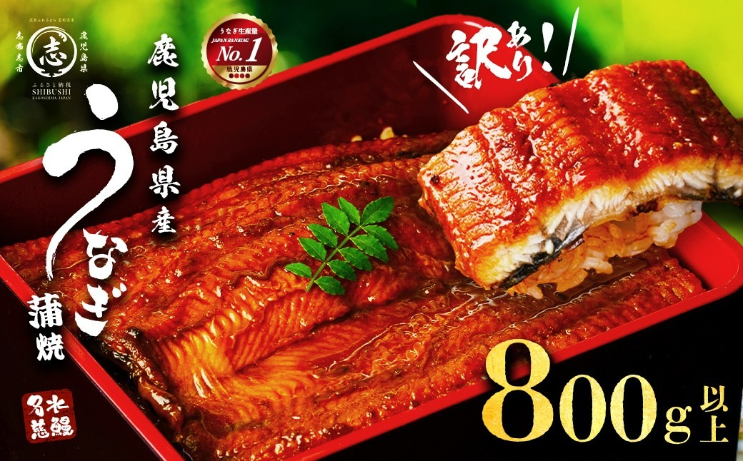 【訳あり・数量限定】復活！不揃いのうなぎ達 計740g以上(鹿児島県産 鰻の蒲焼き) b2-021