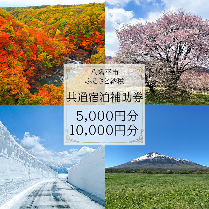 【ふるさと納税】 選べる 八幡平市共通宿泊補助券（10000円相当 5000円相当） ／ 宿泊 オススメ チケット 岩手県 八幡平市 八幡平 安比高原 安比 ホテル ペンション 民宿 キャンプ グランピング 温泉 泊まる 紅葉 春 夏 秋 冬 シーズン 家族 旅行 夫婦 友達 女子会 送料無料